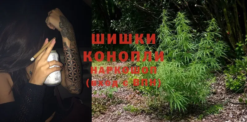 Бошки марихуана OG Kush  МЕГА маркетплейс  маркетплейс состав  Шлиссельбург 